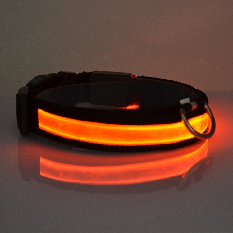 LED Light Up Dog Collar - UrbanNest Co