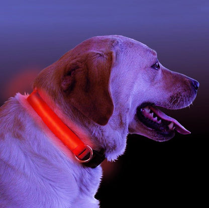 LED Light Up Dog Collar - UrbanNest Co