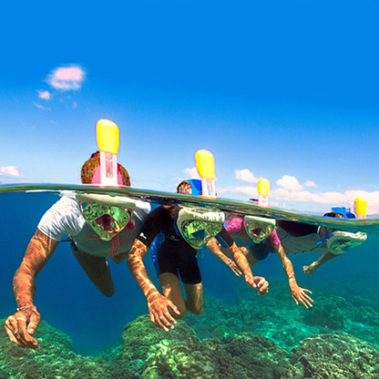 Full Face Snorkel Mask - UrbanNest Co