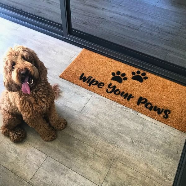 Wipe Your Paws Doormat - UrbanNest Co