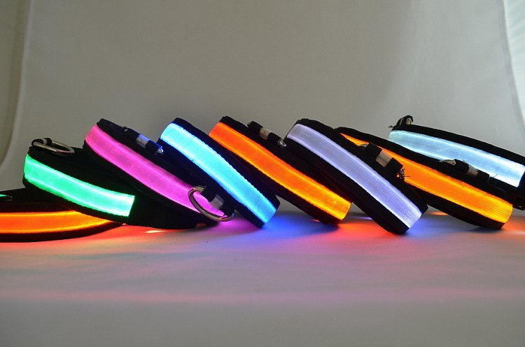 LED Light Up Dog Collar - UrbanNest Co