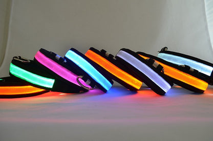 LED Light Up Dog Collar - UrbanNest Co