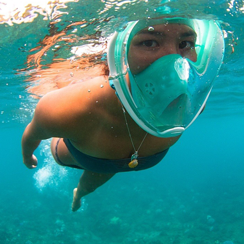 Full Face Snorkel Mask - UrbanNest Co
