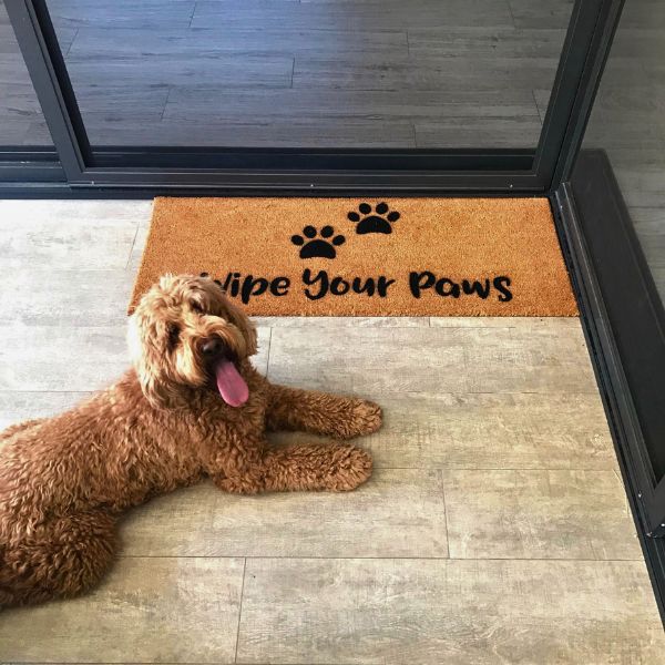 Wipe Your Paws Doormat - UrbanNest Co