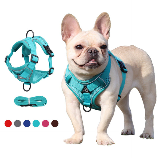 Pet Leash Reflective Breathable Cat Harness Vest Style Small Cat Breathable Reflective - UrbanNest Co