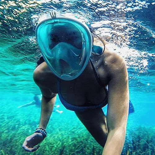 Full Face Snorkel Mask - UrbanNest Co