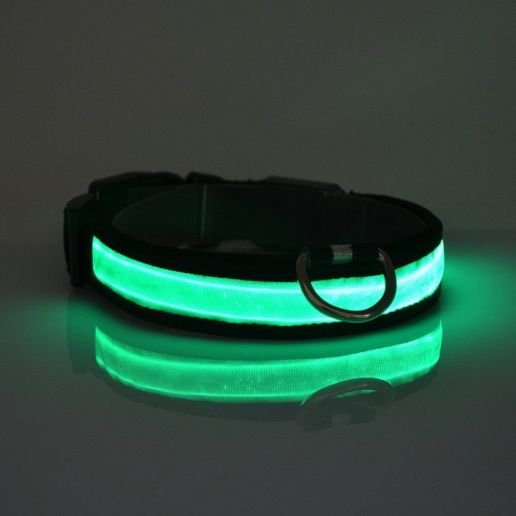 LED Light Up Dog Collar - UrbanNest Co