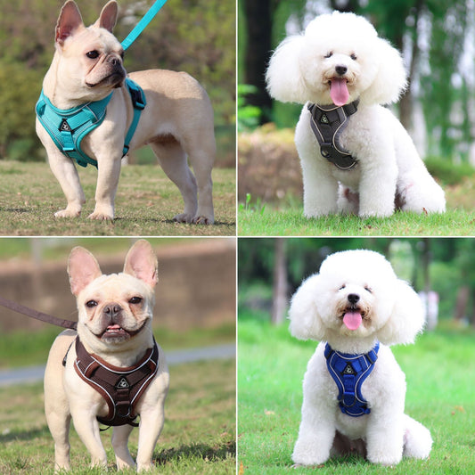 Pet Leash Reflective Breathable Cat Harness Vest Style Small Cat Breathable Reflective - UrbanNest Co